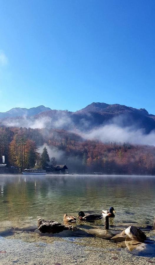 Apartments Bohinjc Buitenkant foto